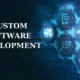 Custom Software Development