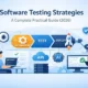 Software Testing