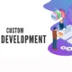 Website Development Services